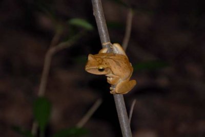 DSC_10040001.JPG