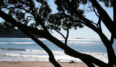 NZ_0006-M.jpg