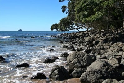 NZ_0012-M.jpg