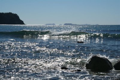 NZ_0016-M.jpg