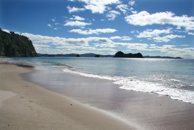 NZ_0023-M.jpg