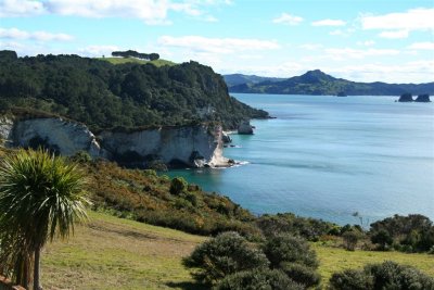 NZ_0025-M.jpg