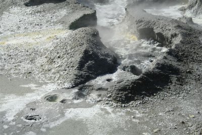 NZ_0098.JPG