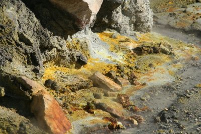 NZ_0112.JPG