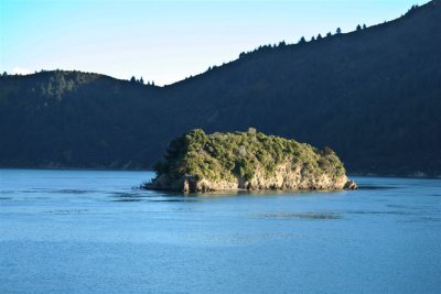 NZ_0480-M.jpg
