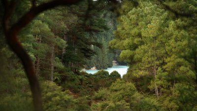NZ_0237-M-p.jpg