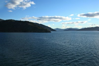 NZ_0488-M.jpg