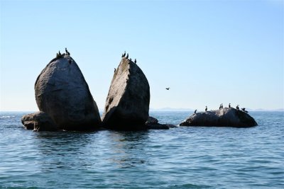 NZ_0509-M.jpg