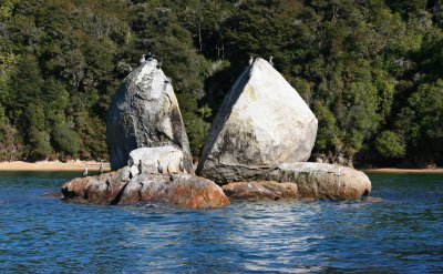 NZ_0514-M-p.jpg