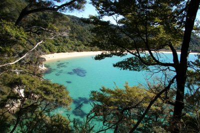 NZ_0561.JPG