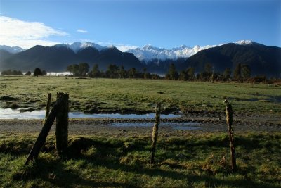 NZ_0868-M.jpg