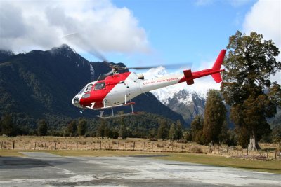 NZ_0871-M.jpg