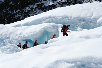 NZ_0962.JPG