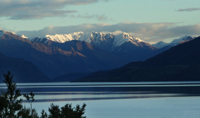 NZ_1038-M1-p.jpg