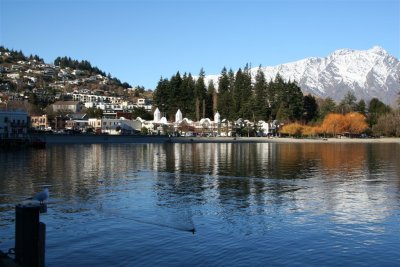 NZ_1174.JPG