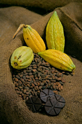 Cacao Still Life #3