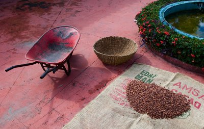 Drying Cacao Beans #2