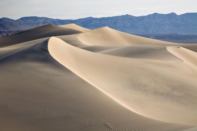 _MG_621505.jpg