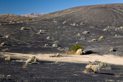 _MG_636806.jpg