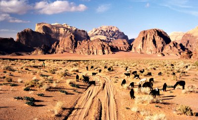 Wadi Rum, Jordan #2
