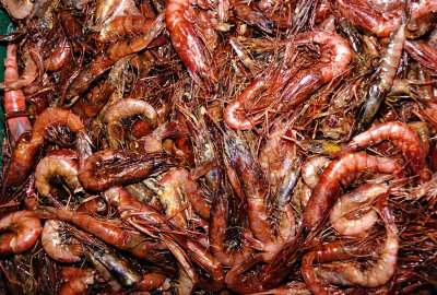 Shrimps - Athens Fish Market
