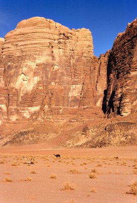 Wadi Rum, Jordan #6