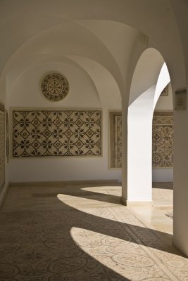 El Djem Mosaic Museum (5)