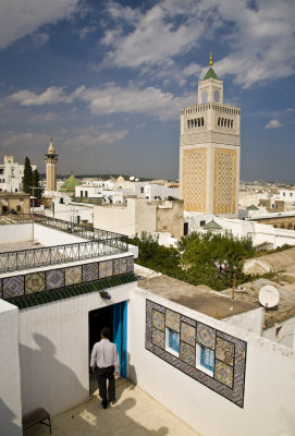 Tunis Medina Skyline (1)