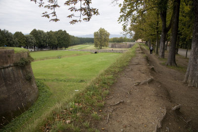 Lucca Fortified Wall