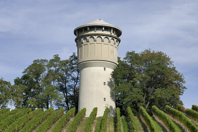 Water-tower in the vineyards