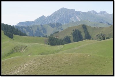 IMG_1601v1.jpg