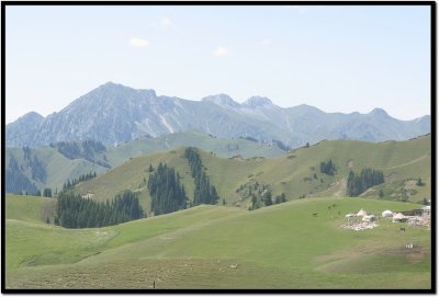 IMG_1605.jpg
