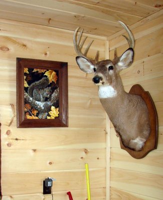 Vault-95-deer-head.jpg