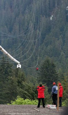 zipline 4322.jpg
