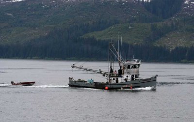 fishing boat 4329.jpg