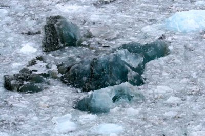 hubbard glacier ice chunks 4929.jpg