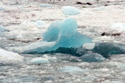 hubbard glacier ice chunks 4992.jpg