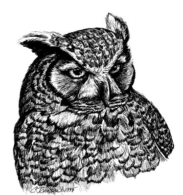 cs---gr-horned-owl-head.jpg