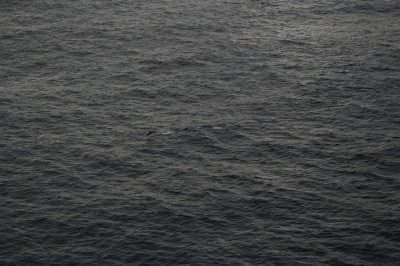 g6/36/19836/3/72246265.9k0vuNRN.jpg