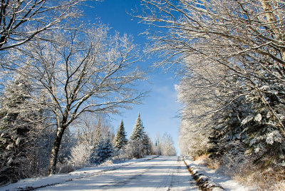 Old Ski Hill Road