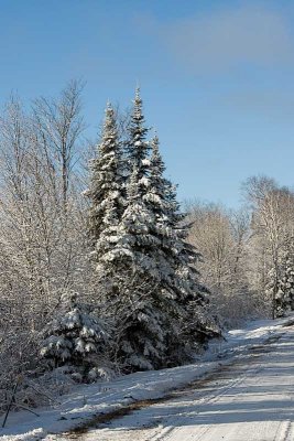 Old Ski Hill Road