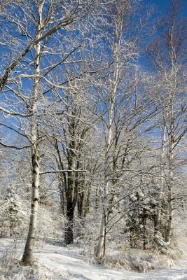 Old Ski Hill Road