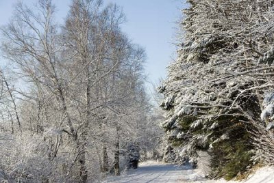 Old Ski Hill Road