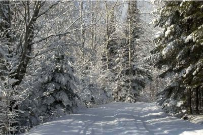 Side Road