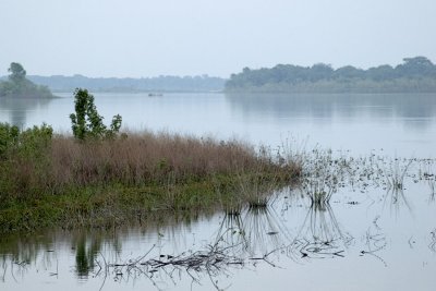 Rice Lake Illinois