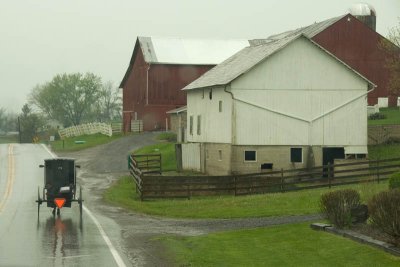 g6/36/263036/3/82077781.FyqhIUfF.jpg