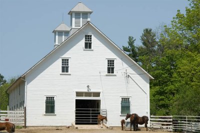 DSC_9340  Maternity Barn