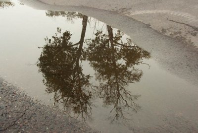 Puddle