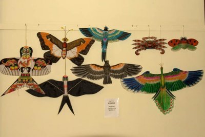 22 Japanese kites in exhibit area