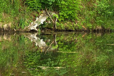 2 Dewey Pond